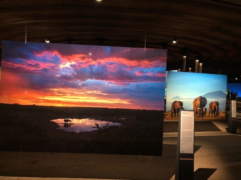 Exkursion nach Oberhausen und Besuch der Ausstellung „Das zerbrechliche Paradies“